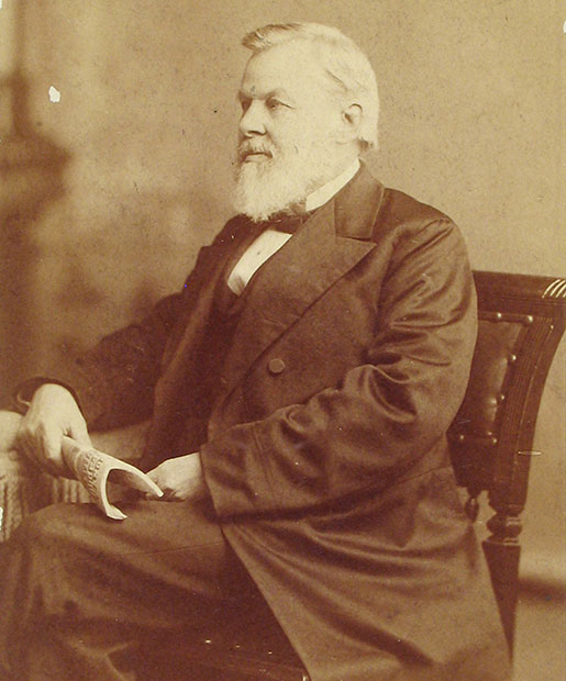 Lewis Reeves Gibbes, by J. A. Nowell, 1886.