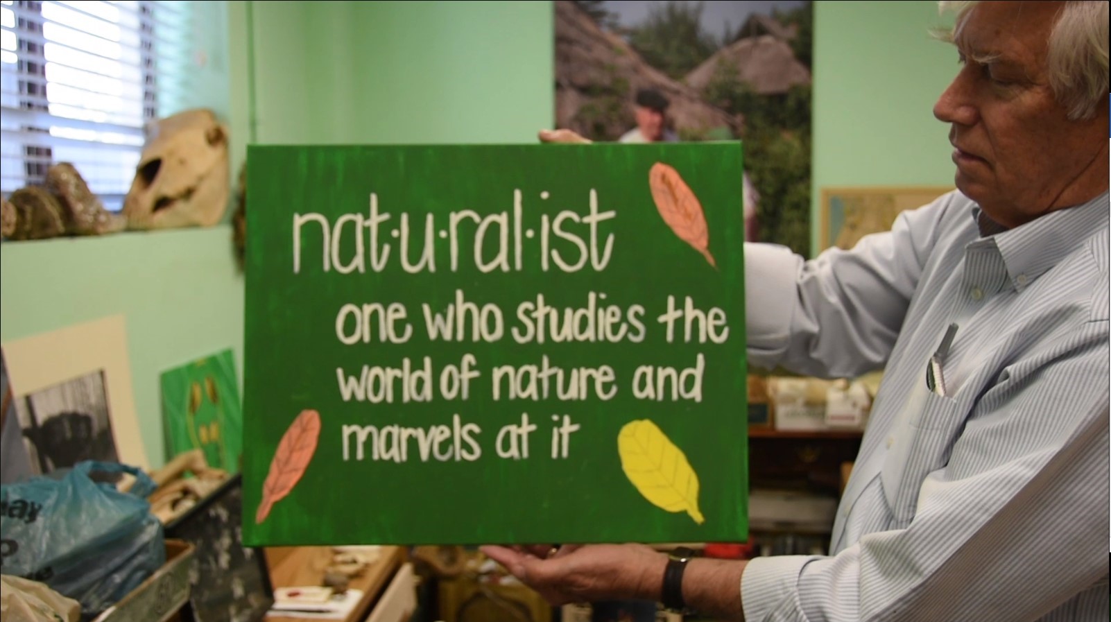What is a Naturalist?